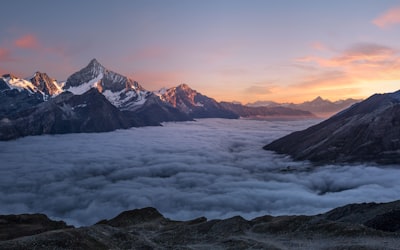 أعشاب لتحسين الهضم